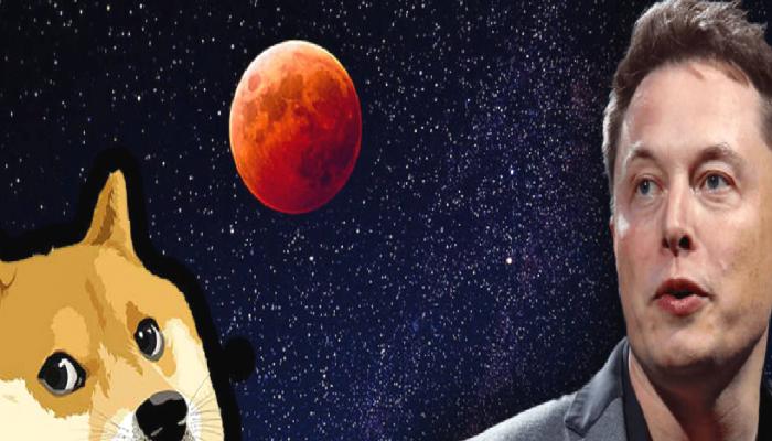 Elon Musk, Kripto Para Piyasası ve Dogecoin Hakkında Konuştu