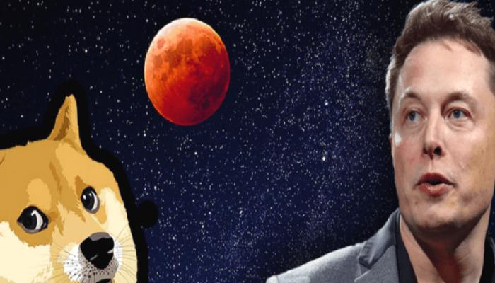 Elon Musk ve DOGE Mucidi: Çökecek Sıradaki Piyasa Bu!