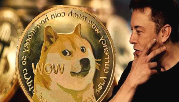 Elon Musk’a Dogecoin Şoku: DOGE Davası Açılıyor!