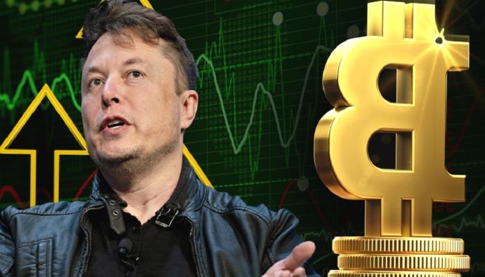 Elon Musk’tan Büyük İleti: Bitcoin ve Altcoinler Düşecek Mi?