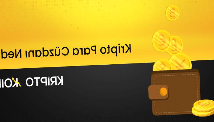 Kripto Para Cüzdanı Nedir? Ne İşe Yarar?