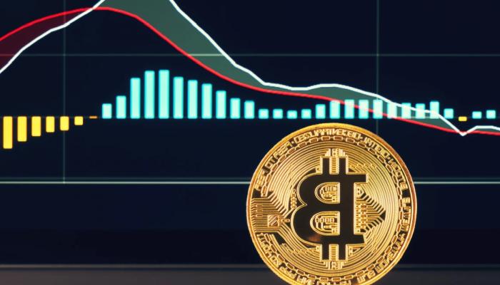 Kritik Düzeyleri Öngören Analistin Son Bitcoin Tahmini!
