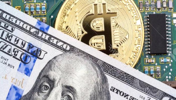 Ne SHIB Ne de Bitcoin! Ünlü CEO: Bu Her Sepette Olmalı!