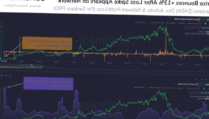 Santiment, O 3 Altcoin’e Gözleri Çevirdi: Balinalar Birikiyor!