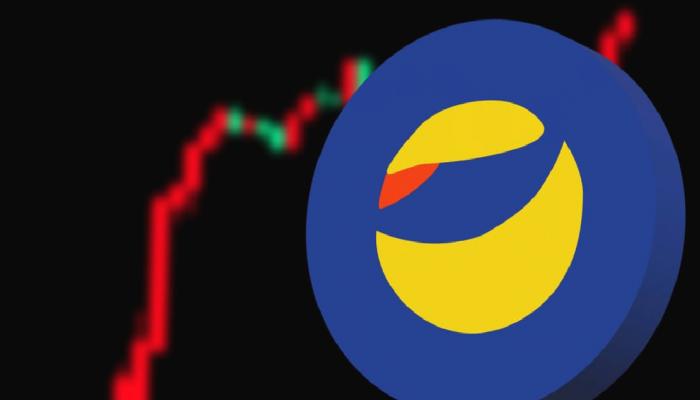 Şaşırtan Çöküş Sırrı: LUNA Balinaları Düşüşte Ne Yaptı?