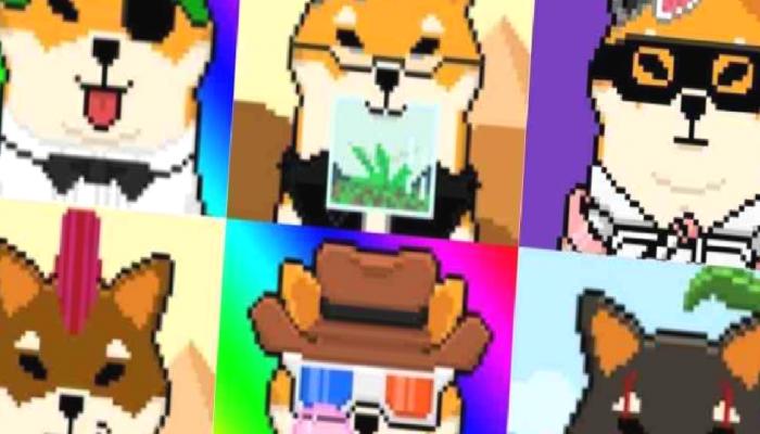 SHIB Metaverse ile İlgili Değerli Duyuru Yaptı: İşte Tarih!
