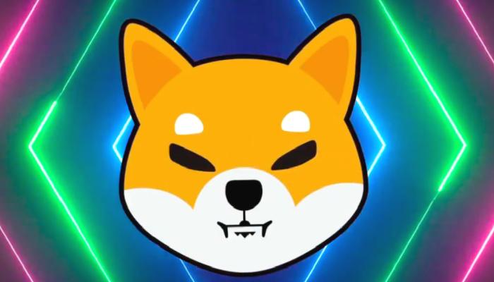 SHIB ve Bu 11 Altcoin İçin Müjde: 2 Şirket Açıkladı!