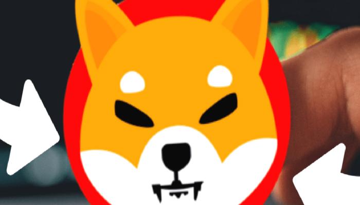 SHIB ve Bu 2 Altcoin İçin Müjde: Bu Şirket Ekliyor!