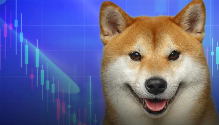 SHIB ve Bu Altcoin’de Büyük Hareket Bekleniyor! İşte Nedeni