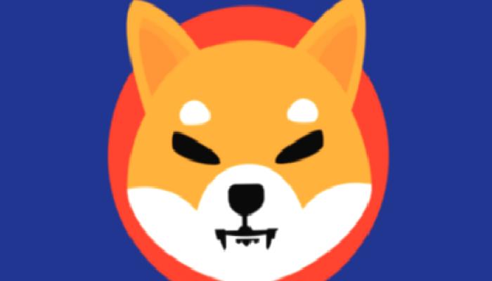 Shiba Inu Bilgileri Can Sıktı: 20 Binden Fazla Kayıp!