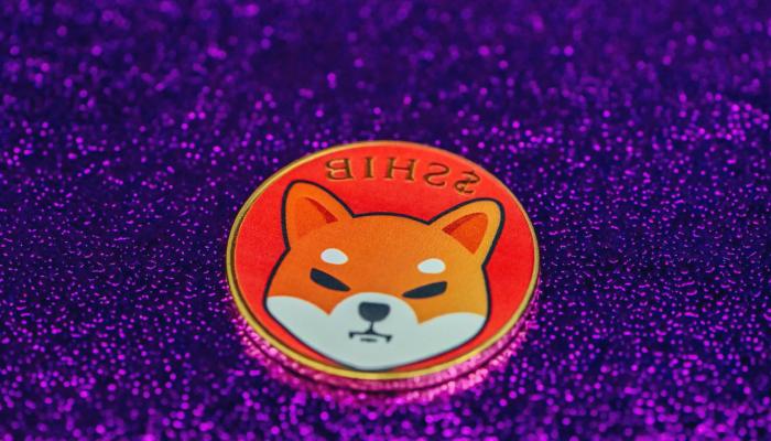Shiba Inu Dünya Muvaffakiyetini Duyurdu: SHIB 13. Oldu!