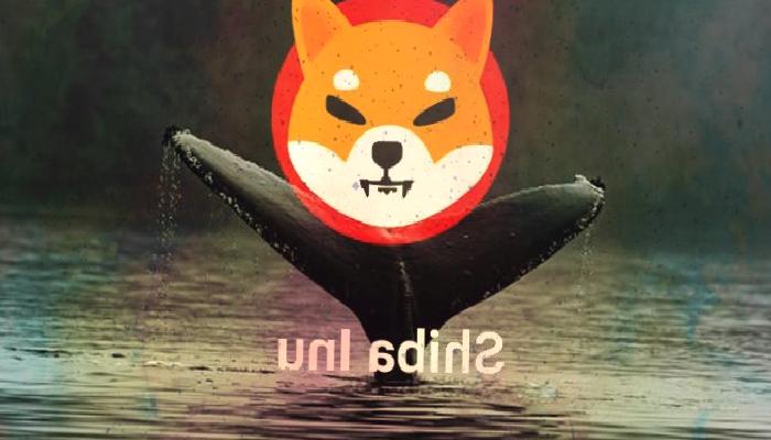 Shiba Inu Etkin Balina Adres Sayısında Yükseliş Yaşanıyor