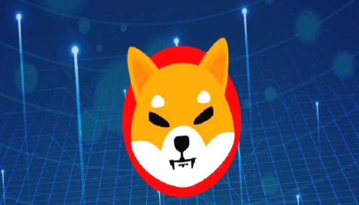 Shiba Inu Mucidi, SHIB’in Ayı Piyasası Planını Paylaştı!