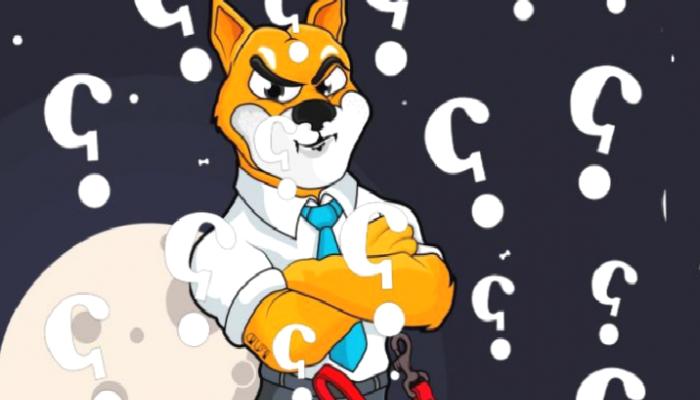 Shiba Inu Mucidinden Gizemli Tweet: Yeni İştirak Mı Geliyor?