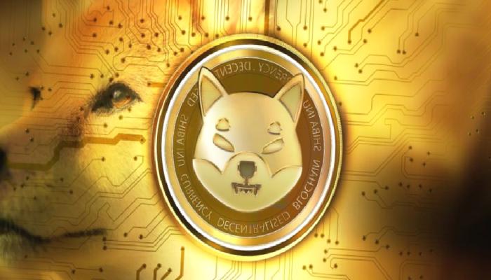 Shiba Inu’dan 2 Değerli Haber: SHIB İçin Bu Düzeyler Bekleniyor!