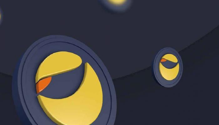 Terraform Labs Kurucu Ortağı Dolandırıcılık Suçlamalarını Reddetti