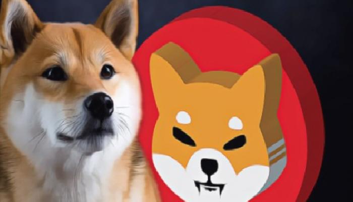 Ünlü Borsadan Büyük Shiba Inu Haberi: Sepete Giriyor!