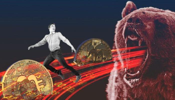 Ünlü CEO: Ayı Piyasasında Kripto Para Yatırımı Bu türlü Yapılır!