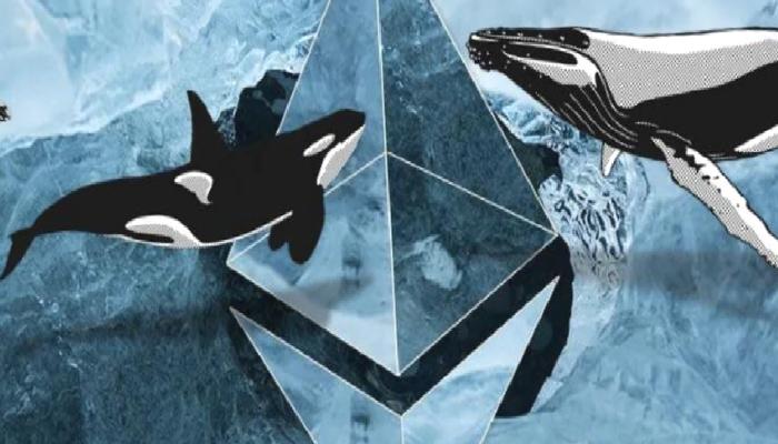 Uzmanlar: Ethereum Bu Seviyeyi Kırarsa Felaket Olur!