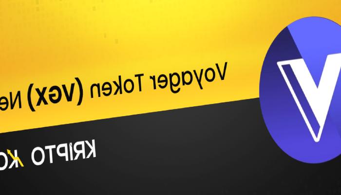 Voyager Nedir? VGX Ne İşe Yarar?