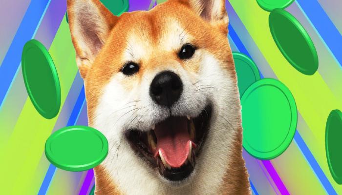 4 Borsa Duyurdu: SHIB, FLOKI ve Bu Coinler Listeleniyor!