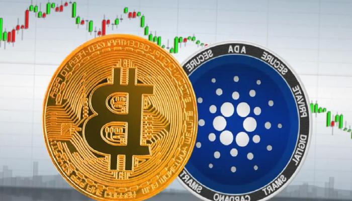 53 Uzman: Cardano ve Bitcoin Aralık’ta O Seviyelerde!