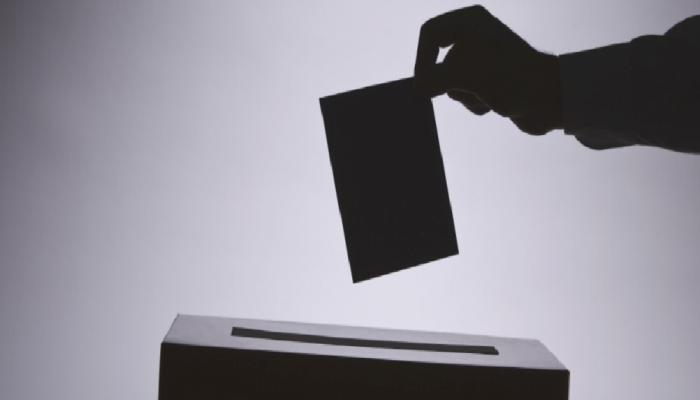 Altcoin Mucidi Konuştu: İşte Balina Tasfiye Olayının Sırrı!