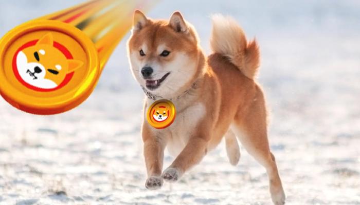 Analist: Bitcoin Düşerken, SHIB ve O 2 Altcoin Sıçrayabilir!