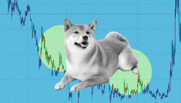 Analist: SHIB ve Bu 4 Altcoin İçin Sert Düzeltme Geliyor!