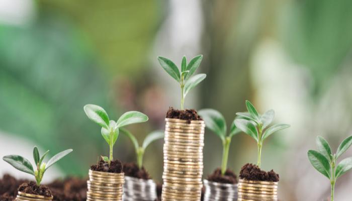 Analist, Yatırımlık 3 Mavi Çipli DeFi Altcoin’i Paylaştı!