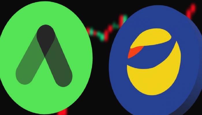 Anchor, Terra’nın Hacmini Şişirmekle Suçlanıyor
