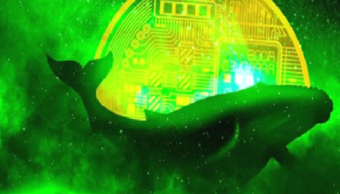 Balinalar Süratle O Altcoin’i Alıyor: Bu Tarihte Zıplayabilir!