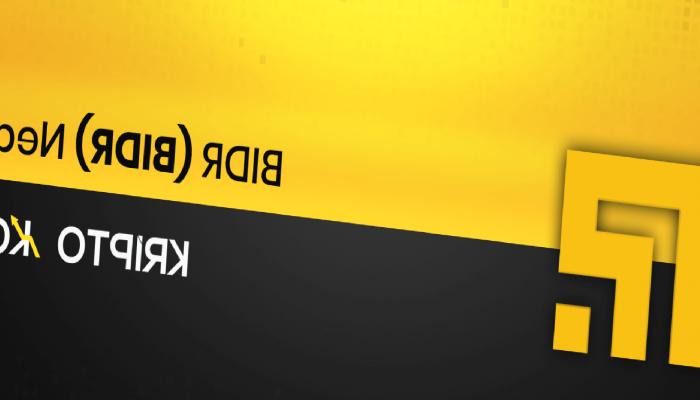BIDR Nedir? BIDR Coin Ne İşe Yarar?