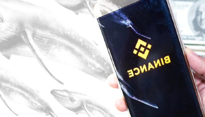 Binance Balinaları Avda: RACA ve Bu Altcoinleri Alıyorlar!