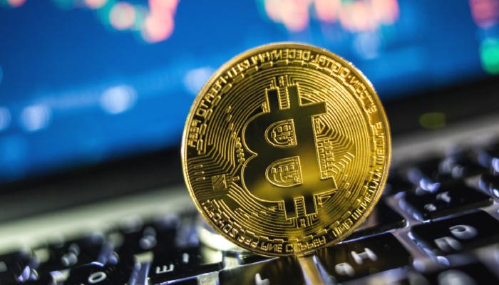 Bitcoin’in Toplumsal Hakimiyeti, 2022’nin En Yüksek Düzeyine Ulaştı