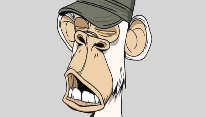 Bored Ape Geliştiricileri, Davayla Karşı Karşıya Kalabilir