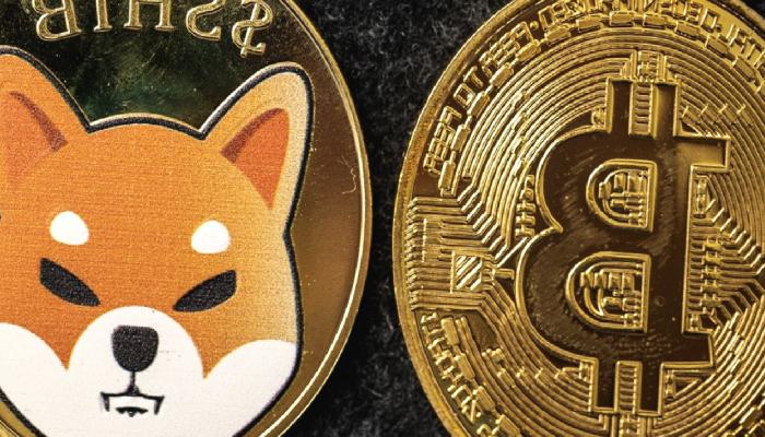Bugün BTC, SHIB ve Altcoinler İçin Bilmeniz Gereken 5 Şey!