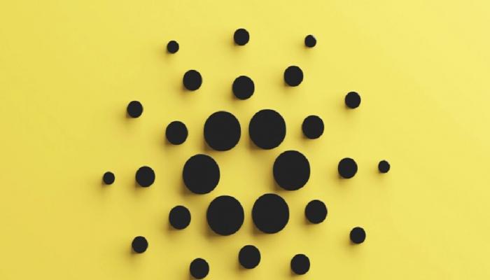 Cardano Beklenen Güncellemeyi Yaptı! İşte Kapsamlı Klavuz