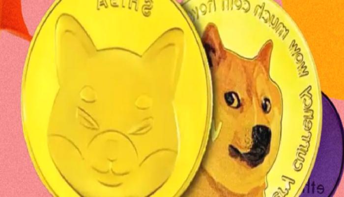 Çöküşte SHIB ve DOGE Balinaları, Bu Altcoin’lerden Alıyor