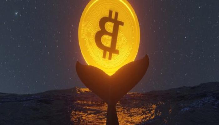 Datalar Şaşırttı! Bu Devasa Bitcoin Balinası, Satış Mı Yapıyor?