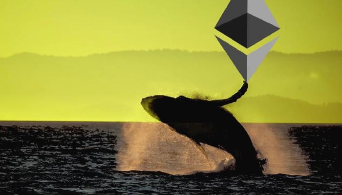 Devasa Ethereum Balinaları Bu Altcoin’lerden Satıyor!