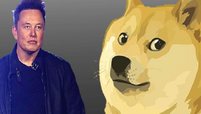 Dogecoin Düşüyor! Elon Musk’un Son Atağı Ne Demek?