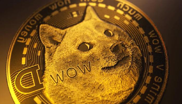 Dogecoin Milyoneri: Bu 4 Coine İnanıyorum, Mavi Çipliler!