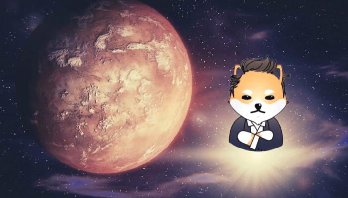 Dogelon MARS Nedir? ELON Coin Ne İşe Yarar?