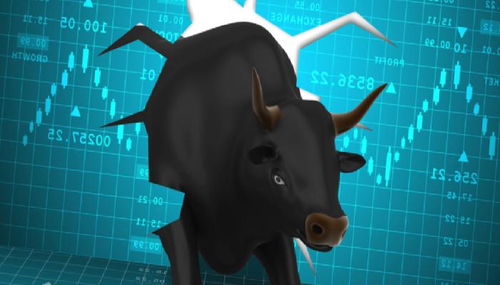 Efsane Analist: Bakın, Bu Altcoin Boğa Koşusuna Hazır!
