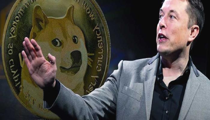 Elon Musk’ın Şirketi, Dogecoin (DOGE) ile Ödeme Kabul Edeceğini Duyurdu