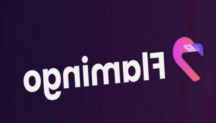 Flamingo Nedir? FLM Coin Ne İşe Yarar?