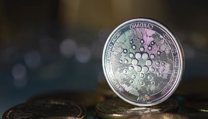 Forbes Analisti: Temmuz Cardano ve Bu 9 Altcoin’in Ayı!