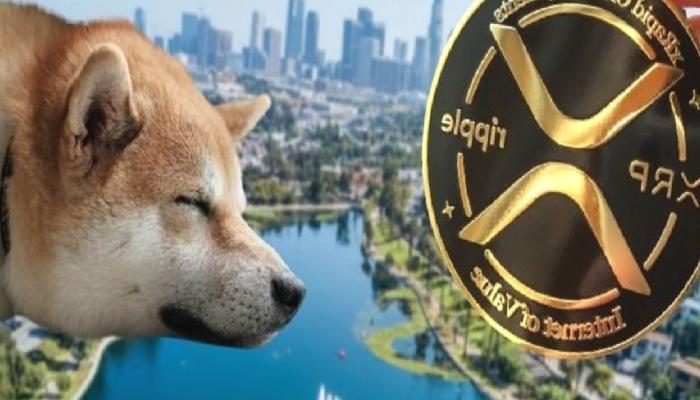 Haftalık DOGE ve Ripple Varsayımı: Bu Düzeylere Hazırlanın!
