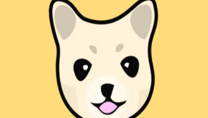 Kishu Inu Nedir? KISHU Coin Ne İşe Yarar?